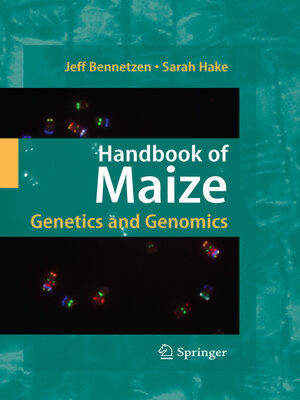 cover image of Handbook of Maize